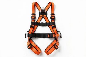Full body safety harness