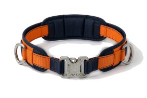 Work positioning belt with padded lumbar support and two side D-rings